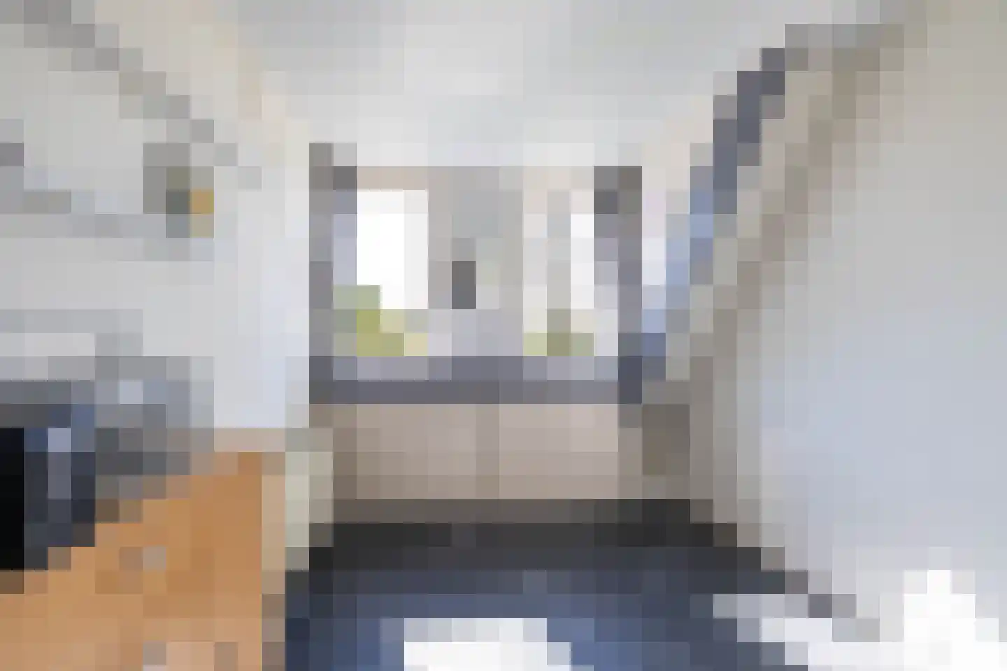 Hoornweg 21 Marum thumbnail 38