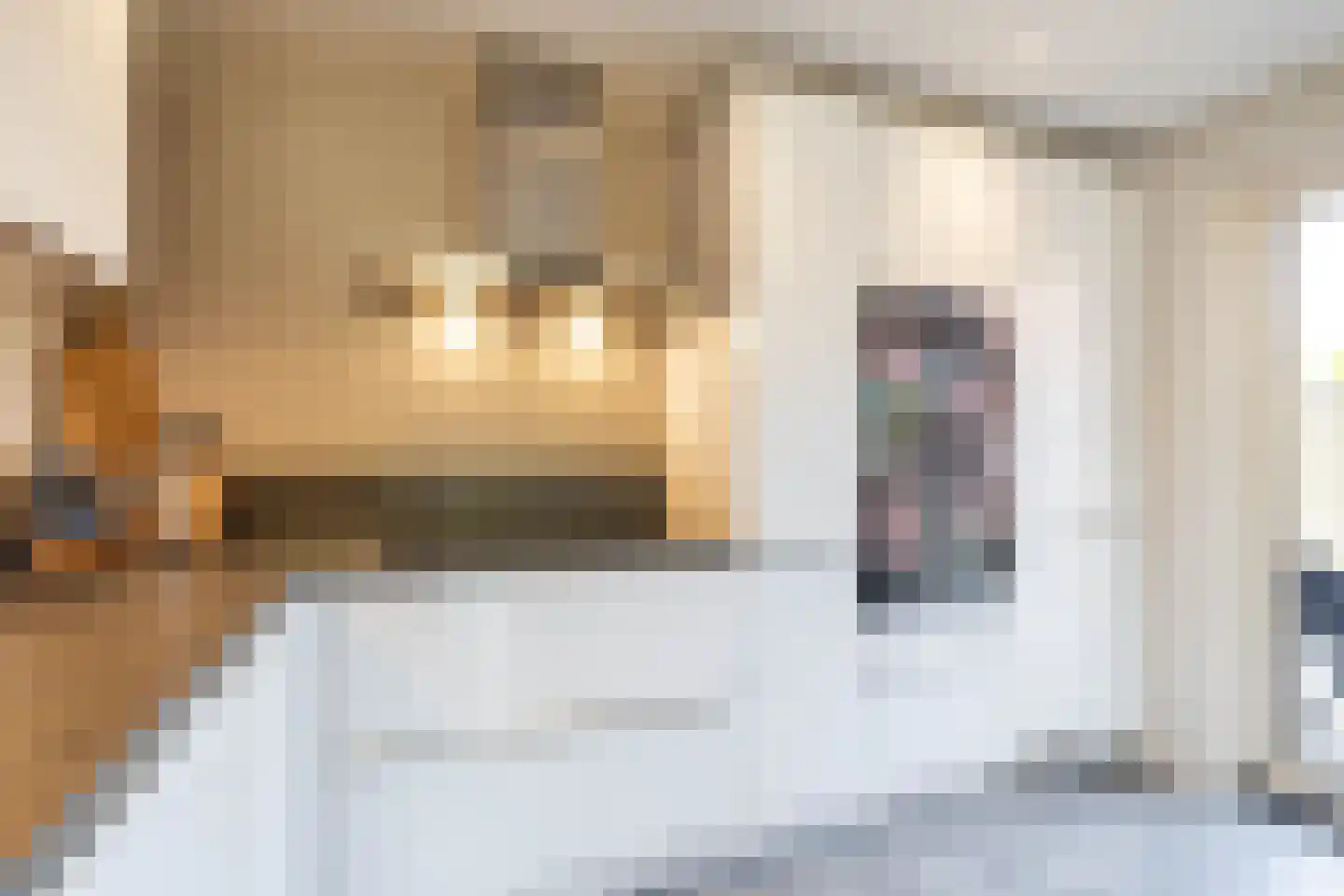 Hoornweg 21 Marum thumbnail 4