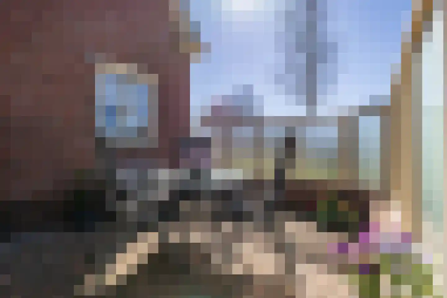Hoornweg 21 Marum thumbnail 42