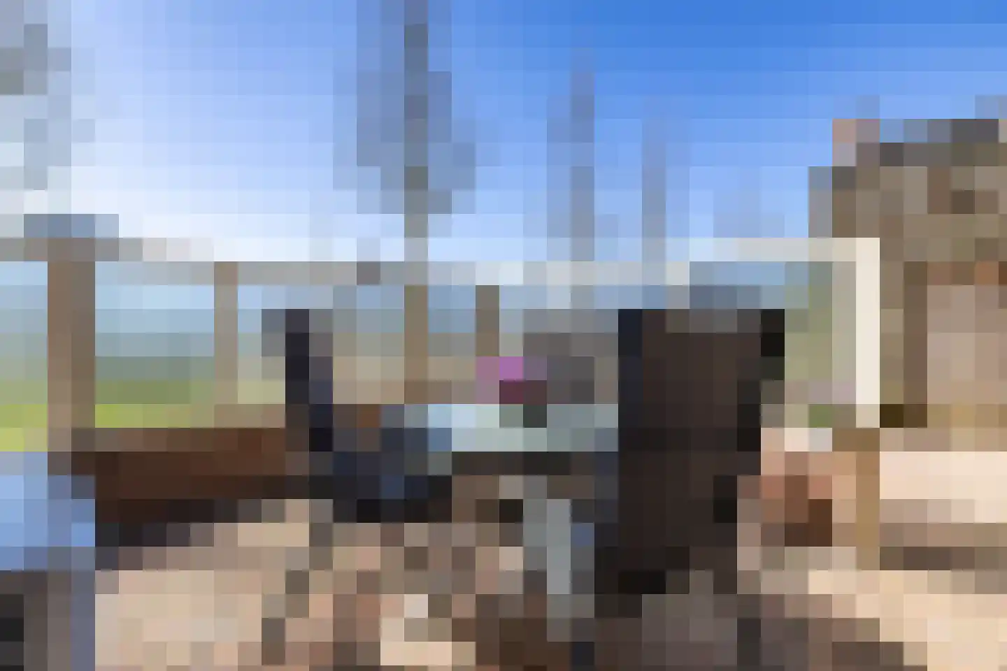 Hoornweg 21 Marum thumbnail 43
