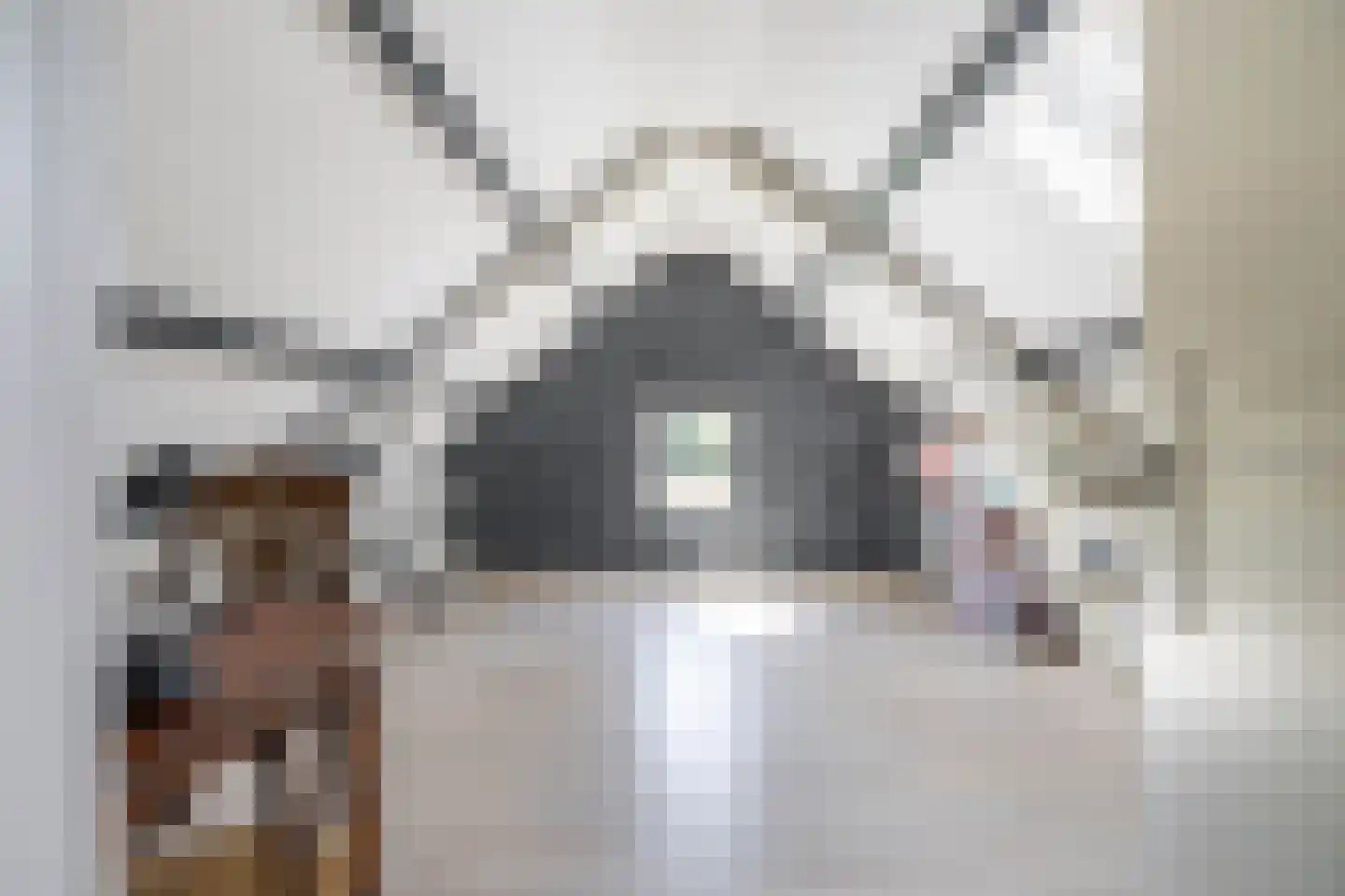 Hoornweg 21 Marum thumbnail 56