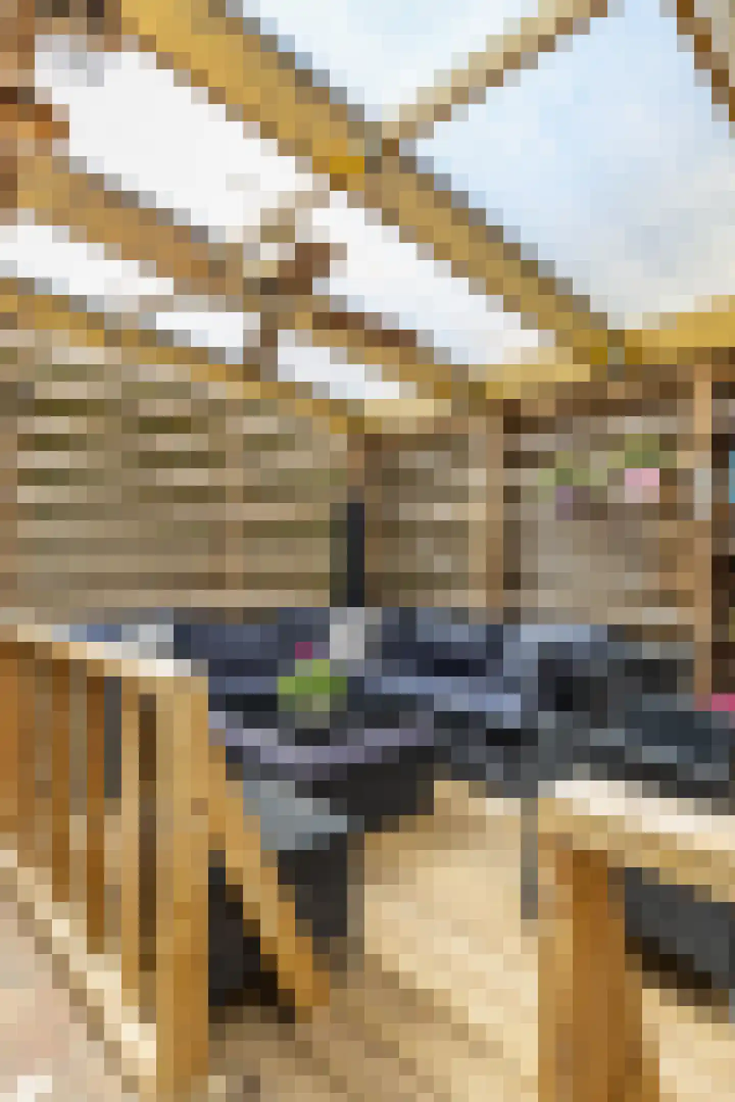 Hoornweg 21 Marum thumbnail 62