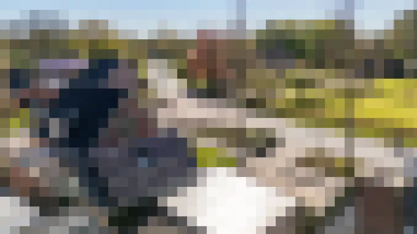 Hoornweg 21 Marum thumbnail 83