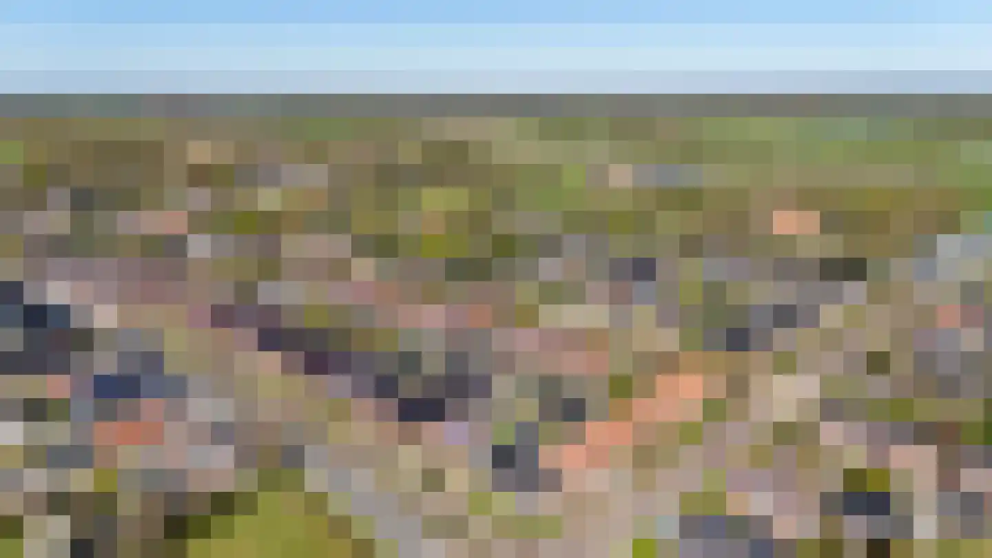 Hoornweg 21 Marum thumbnail 85