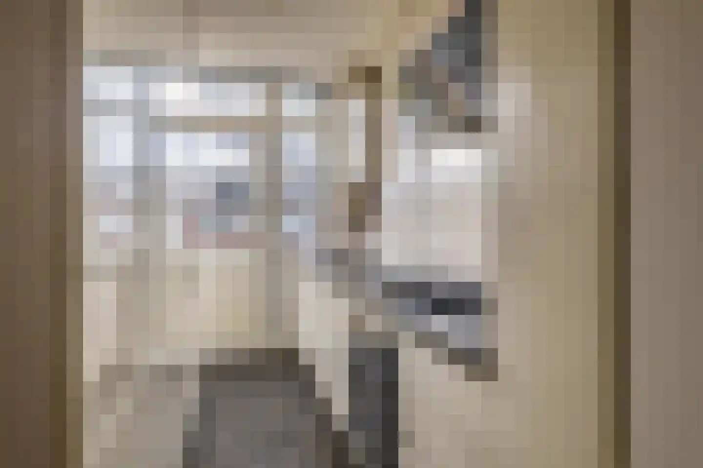 Hoornweg 23 B Rotterdam thumbnail 19