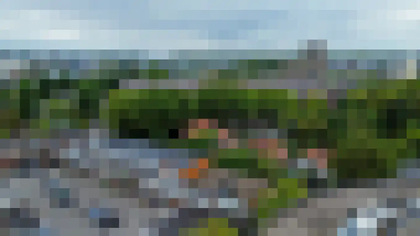 Hoornweg 23 B Rotterdam thumbnail 34