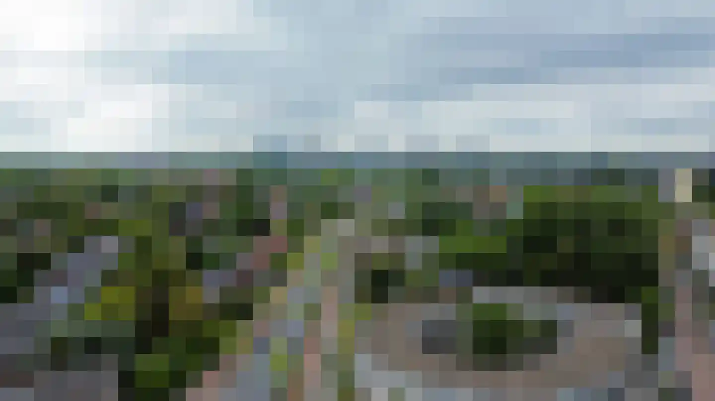 Hoornweg 23 B Rotterdam thumbnail 37