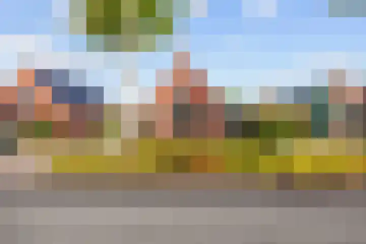 Hoornweg 23 Marum thumbnail 11