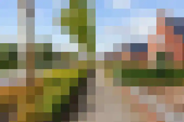 Hoornweg 23 Marum thumbnail 15