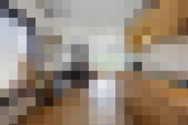 Hoornweg 23 Marum thumbnail 24