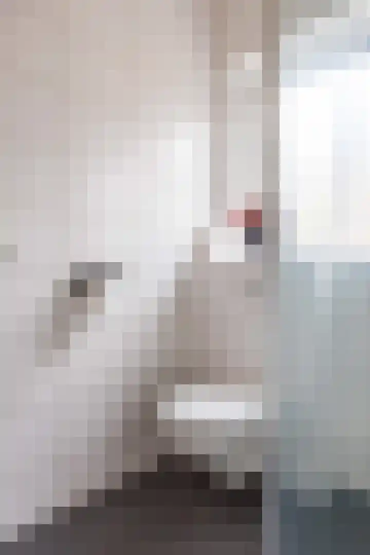 Hoornweg 23 Marum thumbnail 31