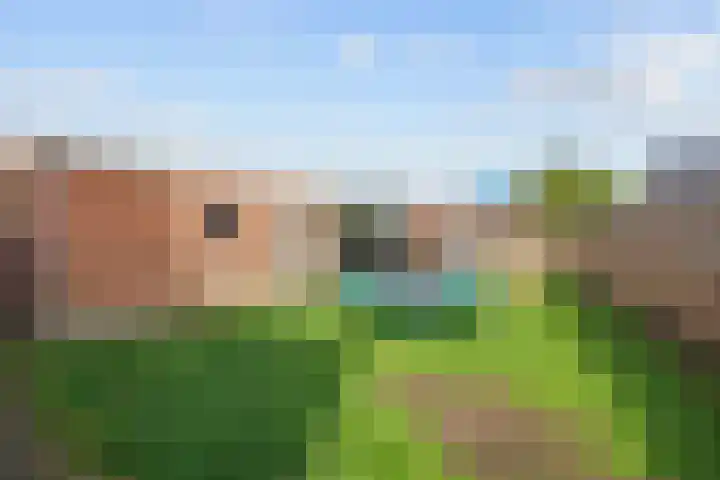 Hoornweg 23 Marum thumbnail 43