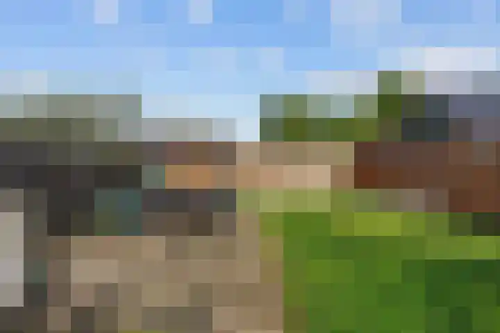 Hoornweg 23 Marum thumbnail 44