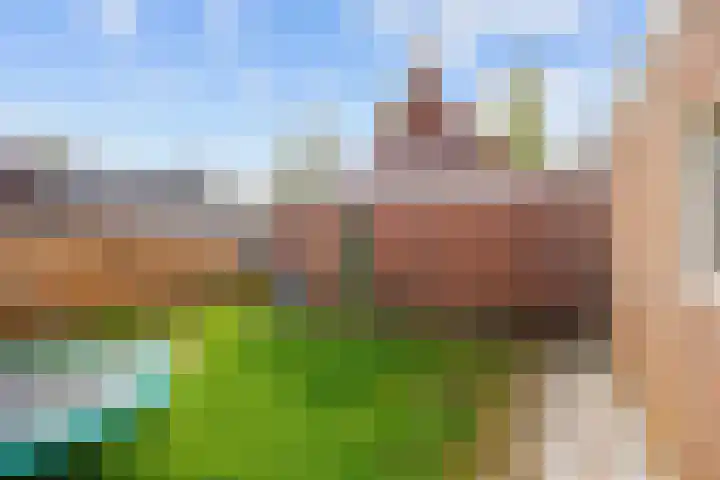 Hoornweg 23 Marum thumbnail 47
