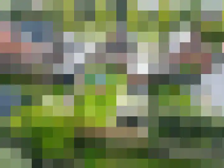 Hoornweg 23 Marum thumbnail 48