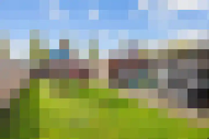 Hoornweg 23 Marum thumbnail 5