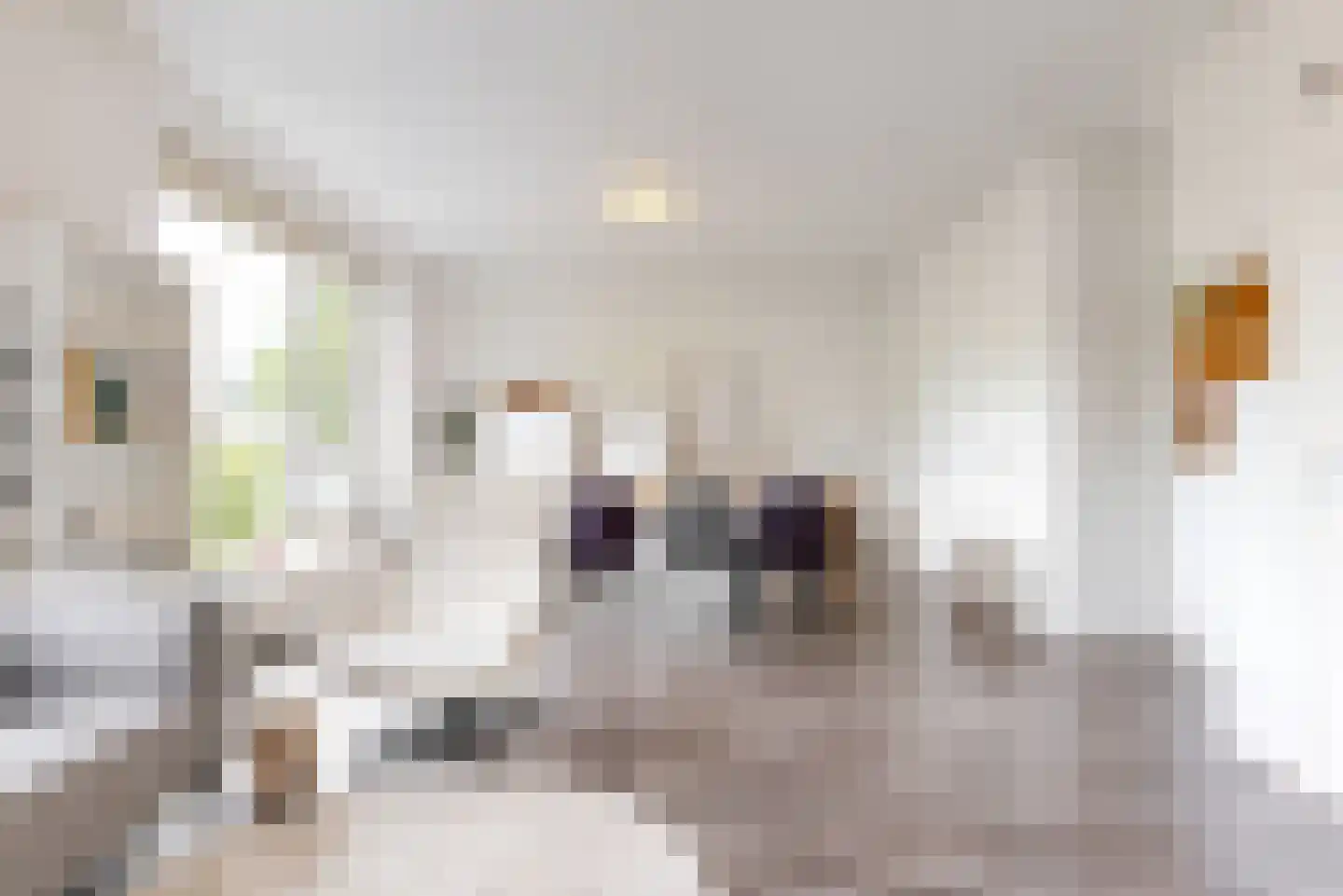 Hoornweg 25 B Rotterdam thumbnail 10