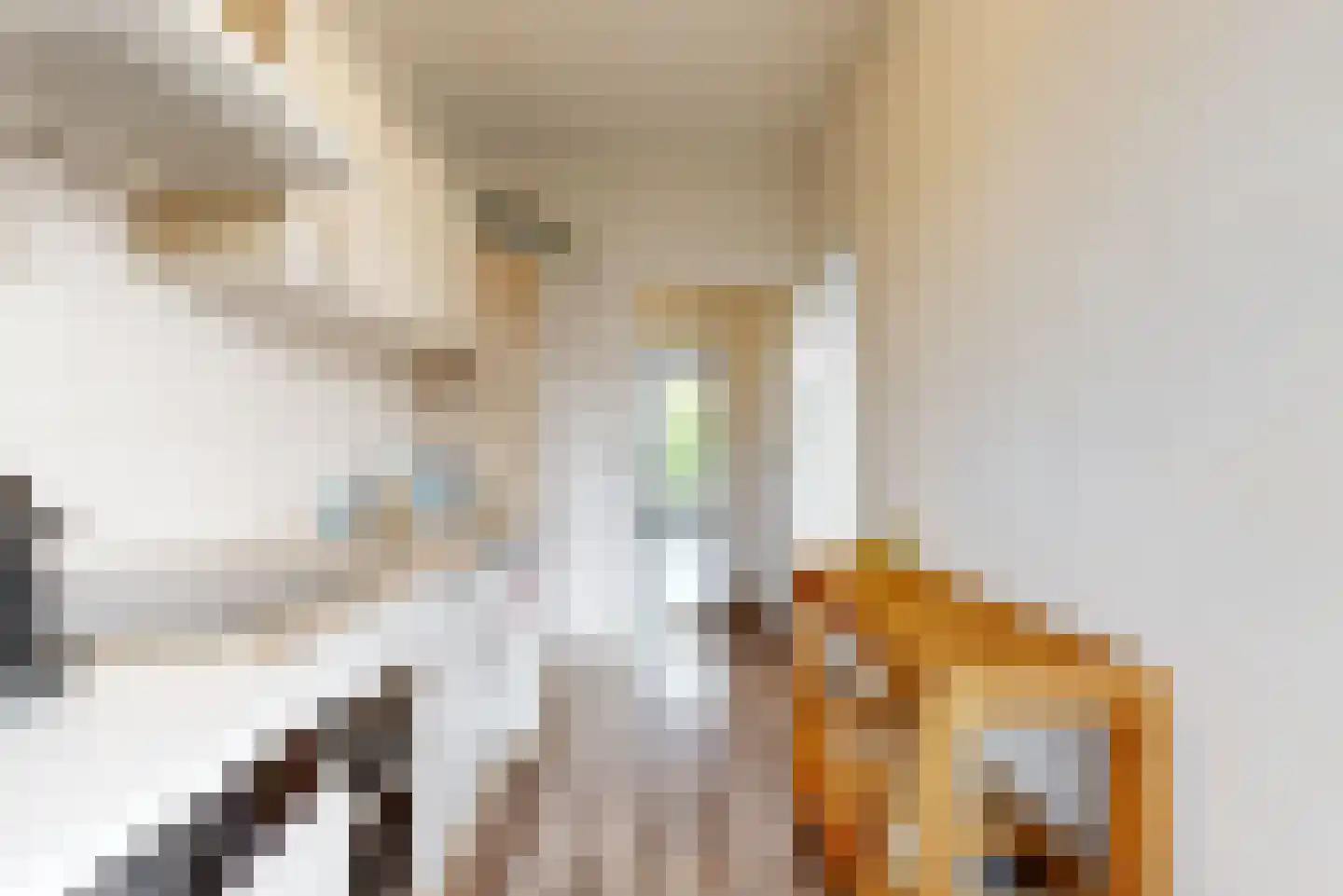 Hoornweg 25 B Rotterdam thumbnail 16