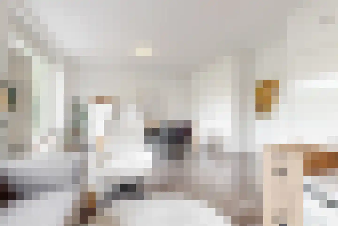 Hoornweg 25 B Rotterdam thumbnail 8