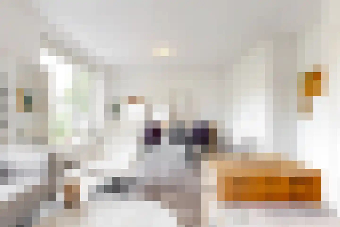 Hoornweg 25 B Rotterdam thumbnail 9