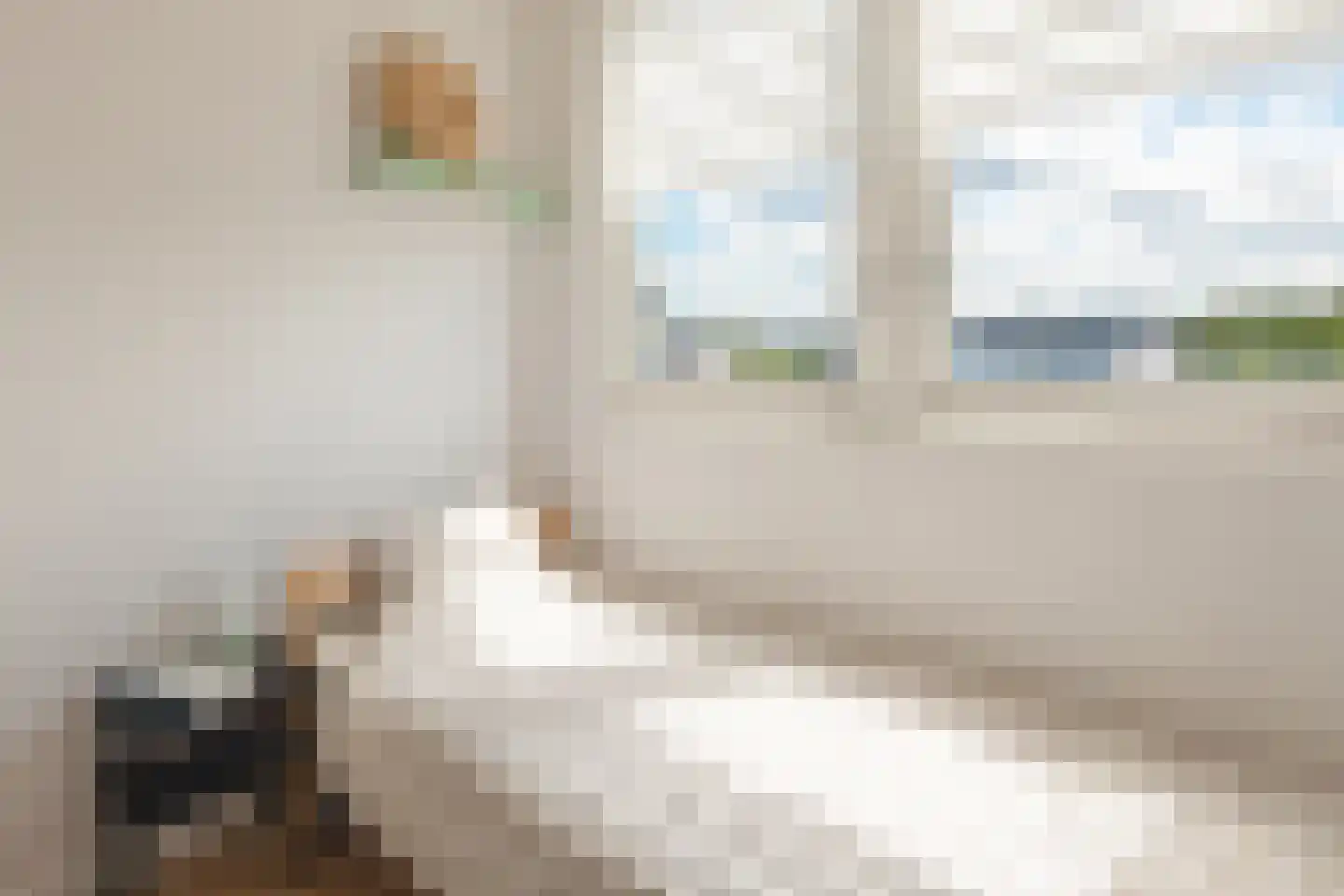 Hoornweg 31 C Rotterdam thumbnail 22