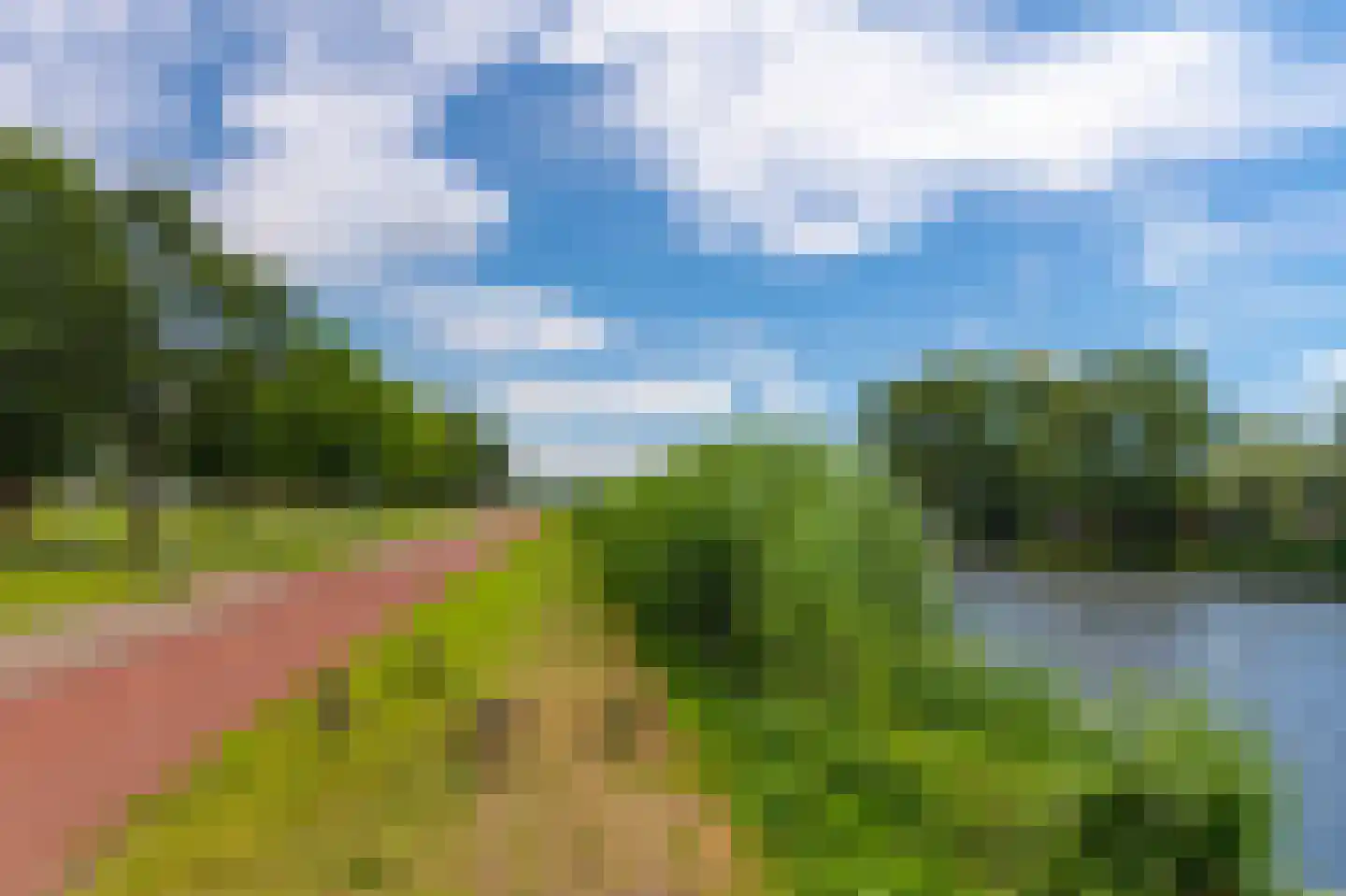 Hoornweg 31 C Rotterdam thumbnail 41