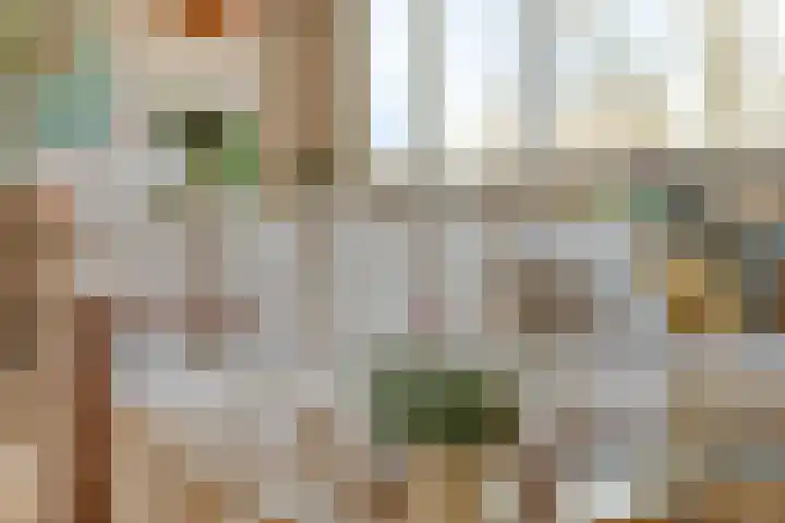 Hoornweg 33 B Rotterdam thumbnail 13
