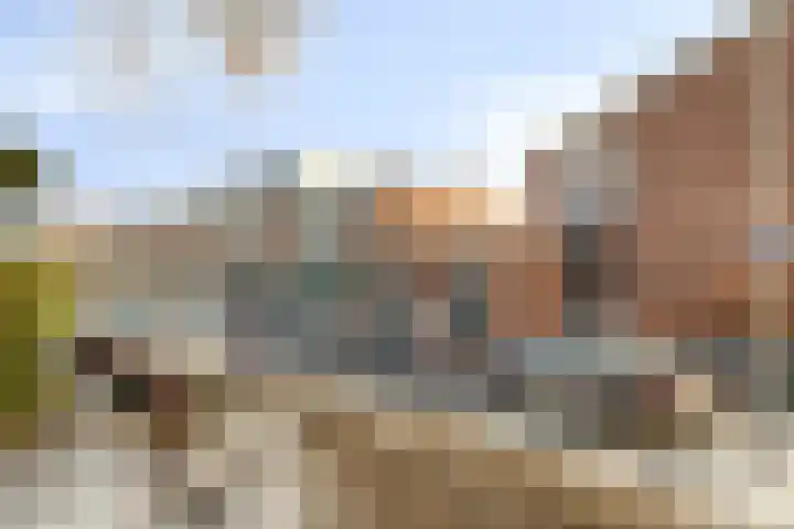Hoornweg 33 B Rotterdam thumbnail 5