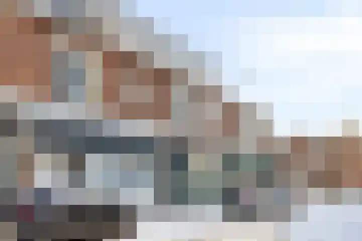 Hoornweg 33 B Rotterdam thumbnail 6