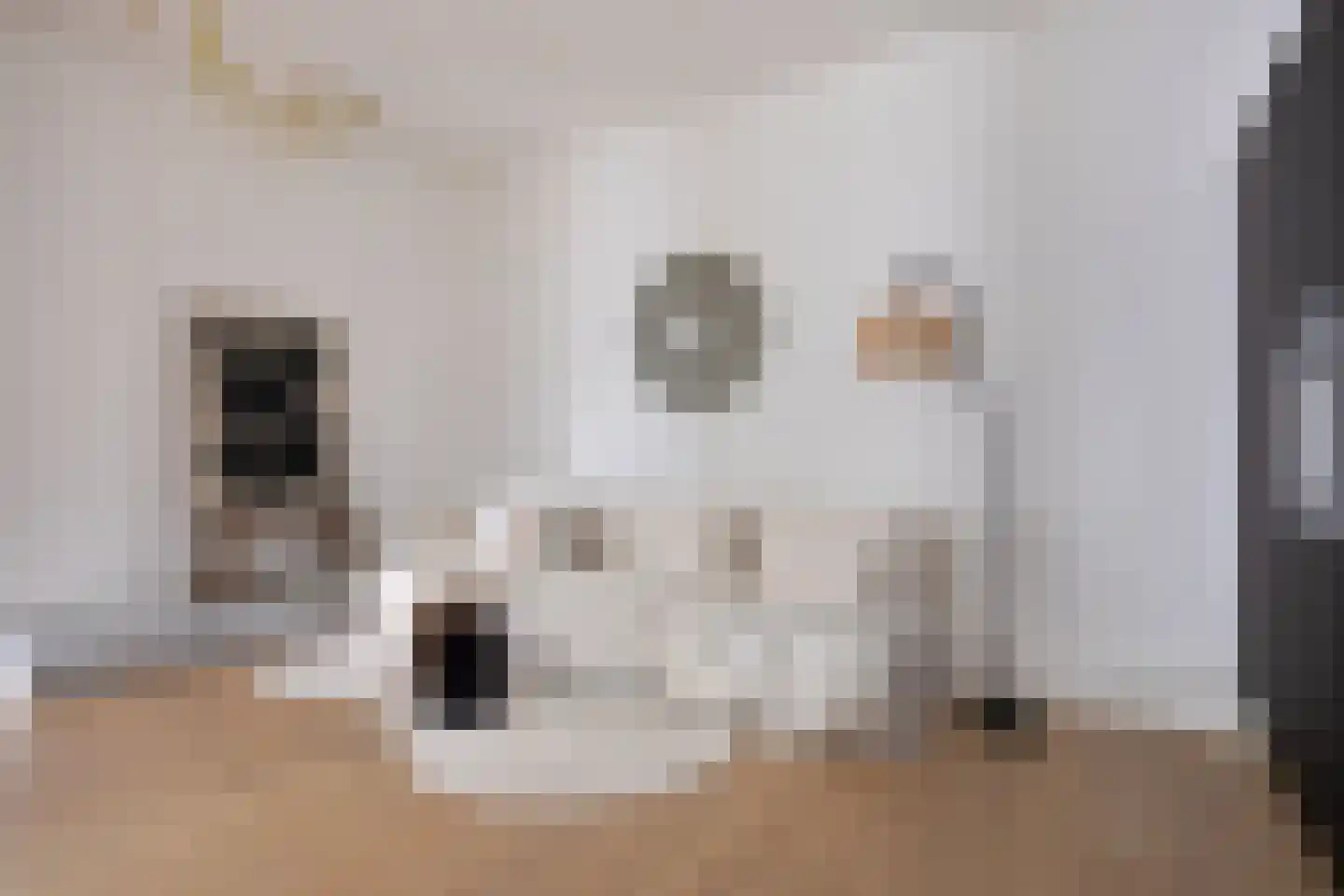 Hoornweg 37 Rotterdam thumbnail 9