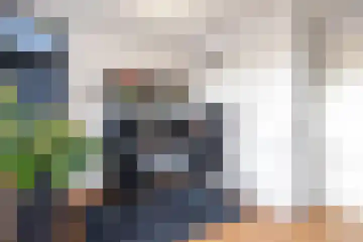 Hoornweg 45 H Marum thumbnail 35