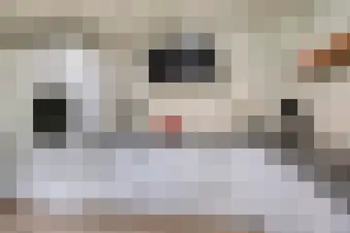 Hoornweg 64 A Marum thumbnail 17