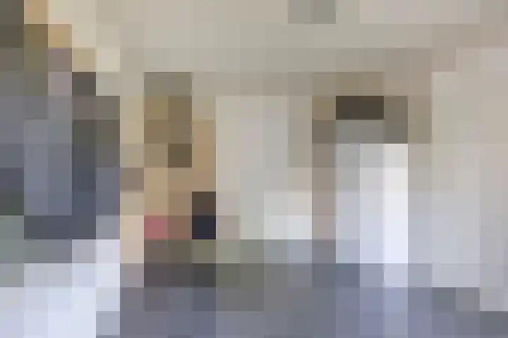 Hoornweg 64 A Marum thumbnail 21