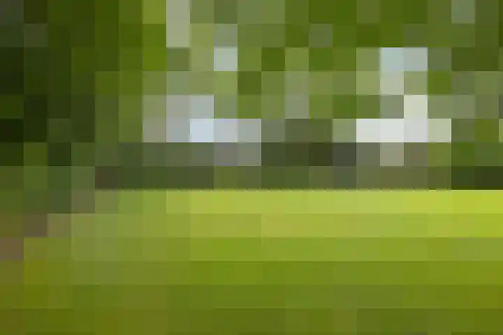 Hoornweg 64 A Marum thumbnail 36