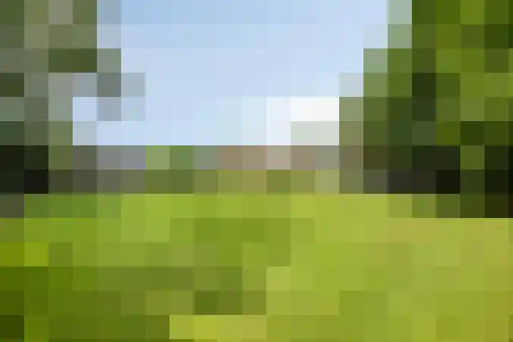 Hoornweg 64 A Marum thumbnail 37