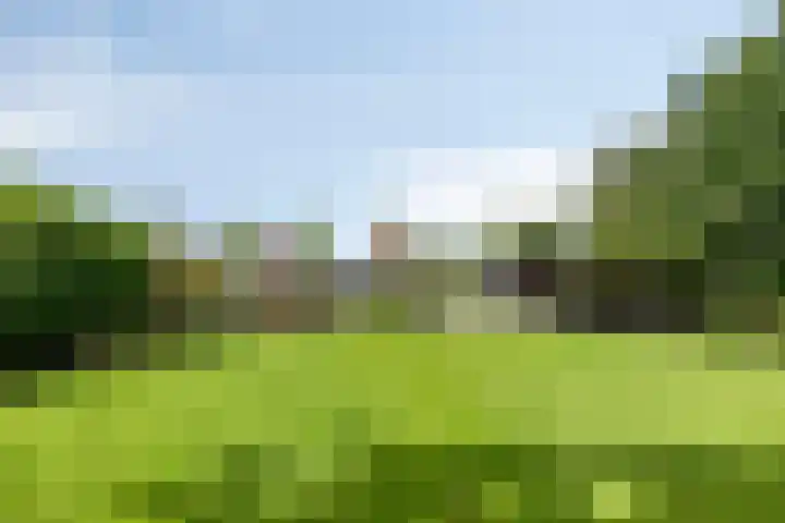 Hoornweg 64 A Marum thumbnail 38