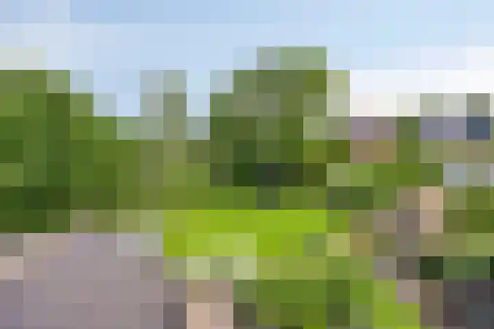 Hoornweg 64 A Marum thumbnail 39