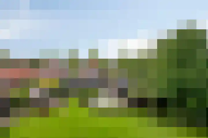 Hoornweg 64 A Marum thumbnail 40