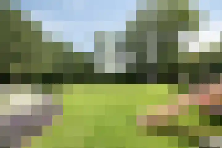 Hoornweg 64 A Marum thumbnail 43