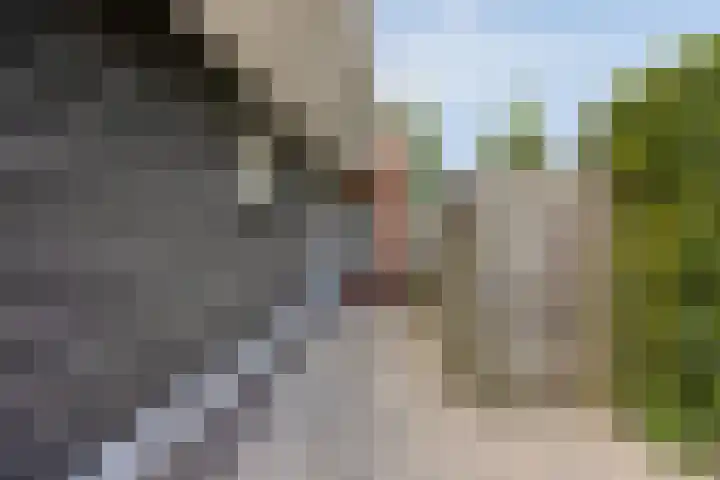 Hoornweg 64 A Marum thumbnail 47
