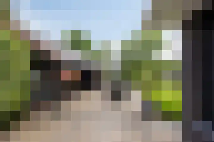 Hoornweg 64 A Marum thumbnail 48