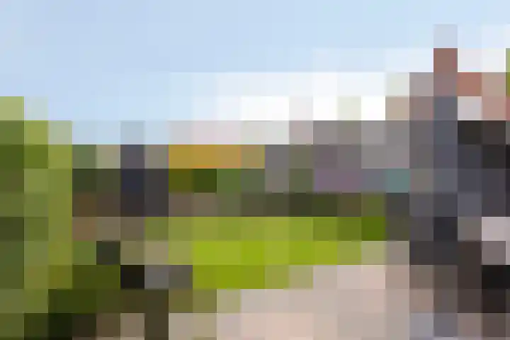 Hoornweg 64 A Marum thumbnail 49