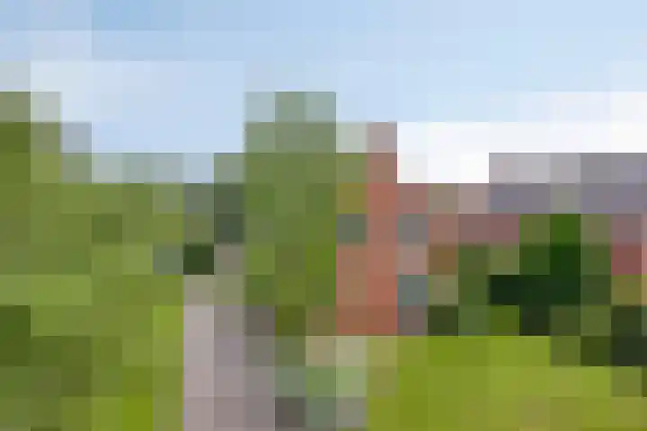 Hoornweg 64 A Marum thumbnail 51