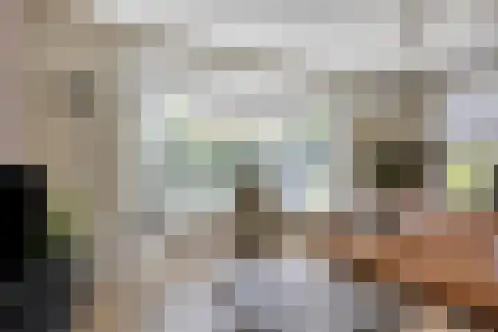 Hoornweg 64 A Marum thumbnail 7