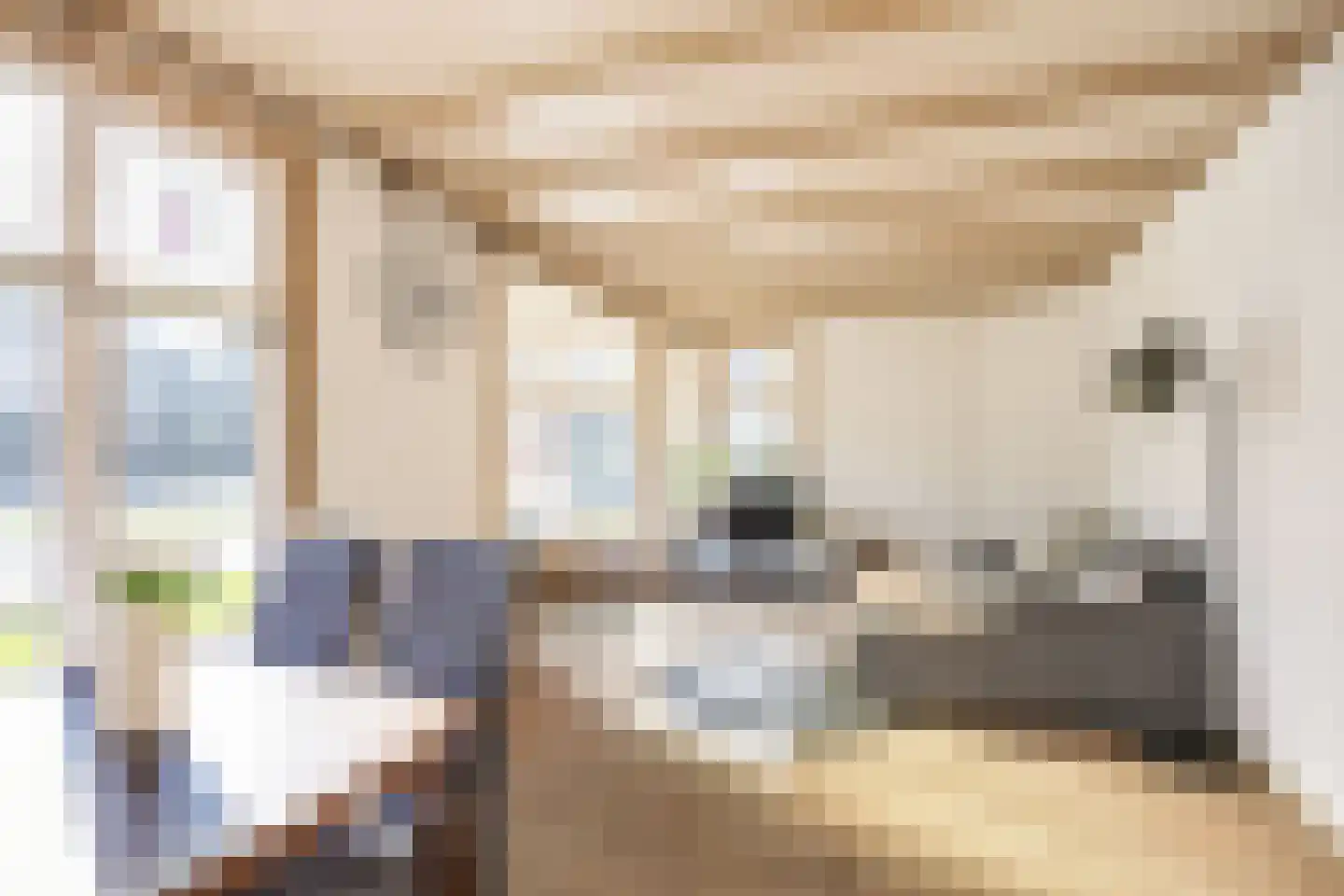Hoornweg 67 Marum thumbnail 18
