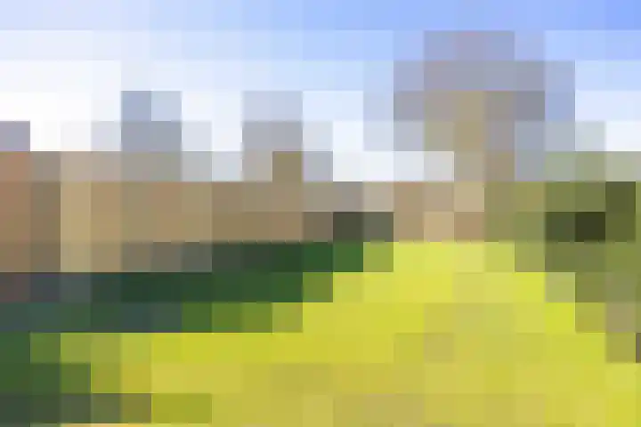 Hoornweg 67 Marum thumbnail 57