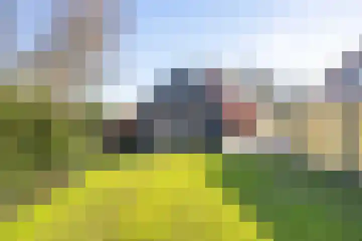 Hoornweg 67 Marum thumbnail 58