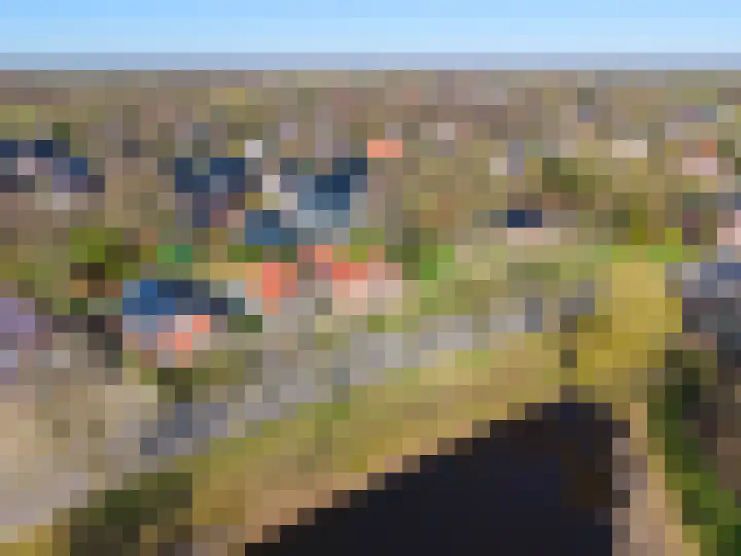 Hoornweg 67 Marum thumbnail 58