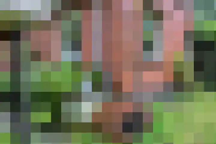 Hoornweg 7 Marum thumbnail 26