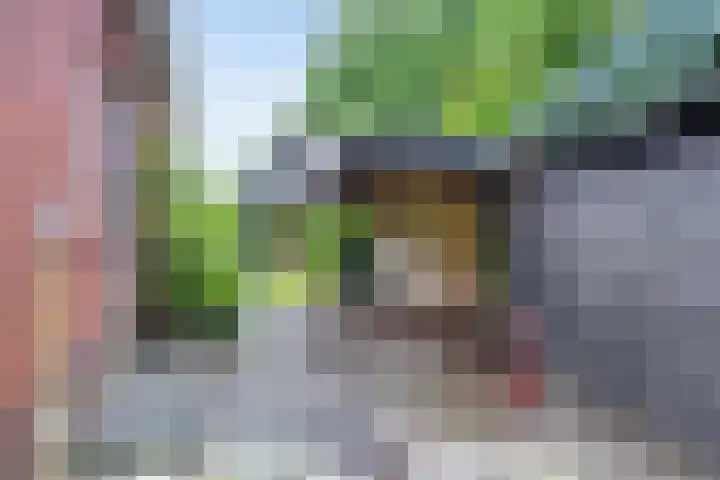 Hoornweg 7 Marum thumbnail 27